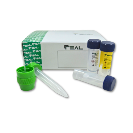 REAL Universal System