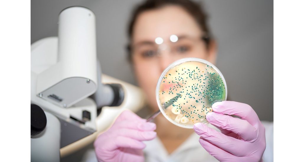 En Durviz ponemos a disposición de los investigadores diferentes soluciones diseñadas específicamente para el análisis del microbioma intestinal
