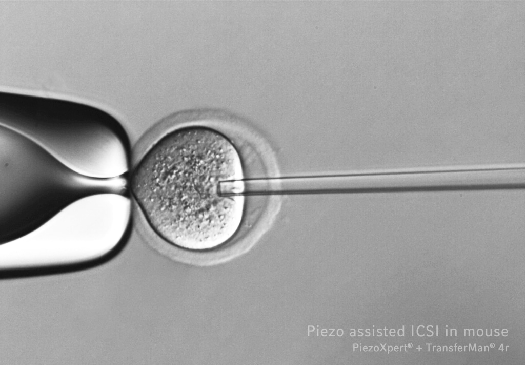 TransferMan 4r/4m - Imagen 5