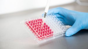 ¿Cada cuánto tiempo debe realizarse la calibración?