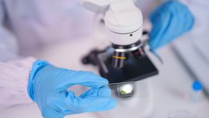 ¿Cómo se calibra la temperatura y el CO₂ de un incubador?