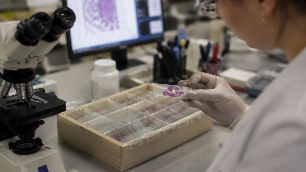 ¿Cómo ayuda la tecnología single-cell al estudio del cáncer?